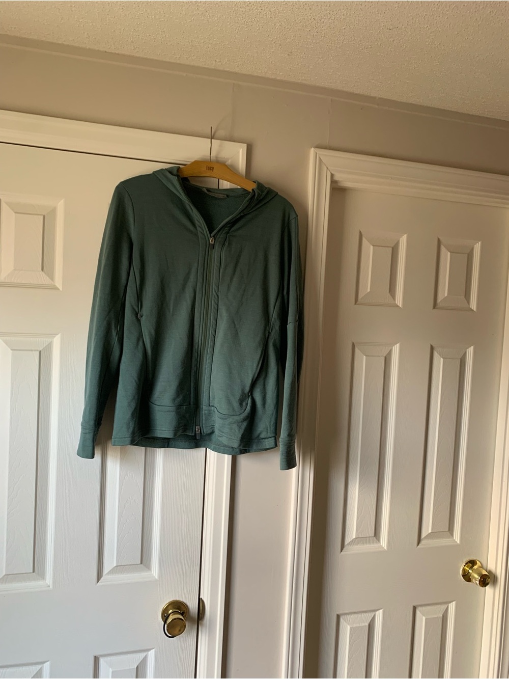 Icebreaker Hooded Zip-Up Jacket in Teal Green